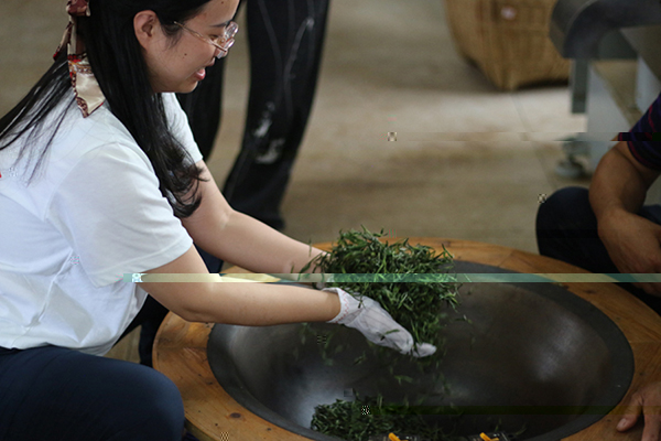 07b240be5c4546a8b2250050c2fcff58.jpg 炒茶葉.jpg