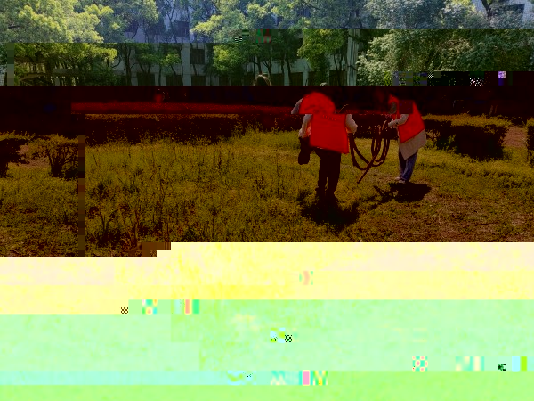16336c75f8734df9887923eae6ce9a19.jpg