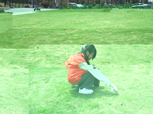cce0994f36e6420cba5e88b687dbfdeb.jpg